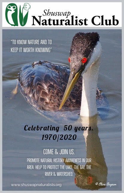 Shuswap Naturalist Club 50th Anniversary Poster