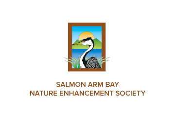 Salmon Arm Bay Nature Enhancement Society