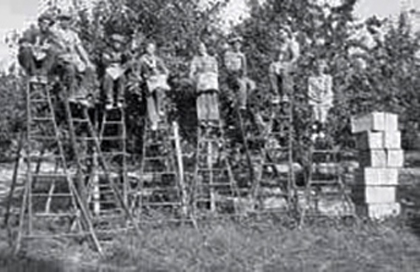 museum-heritage-peterson-2 Peterson Family