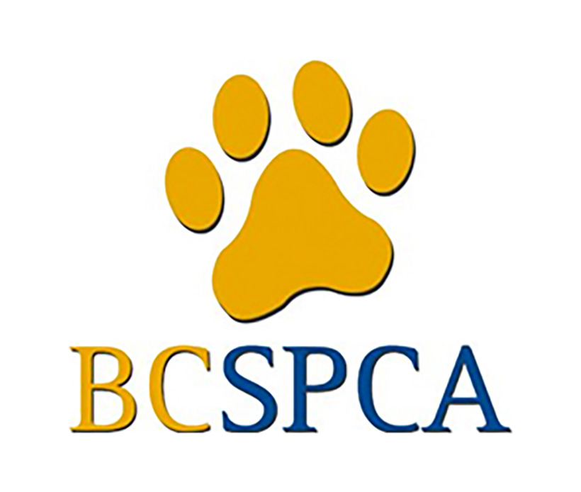 bcspca logo