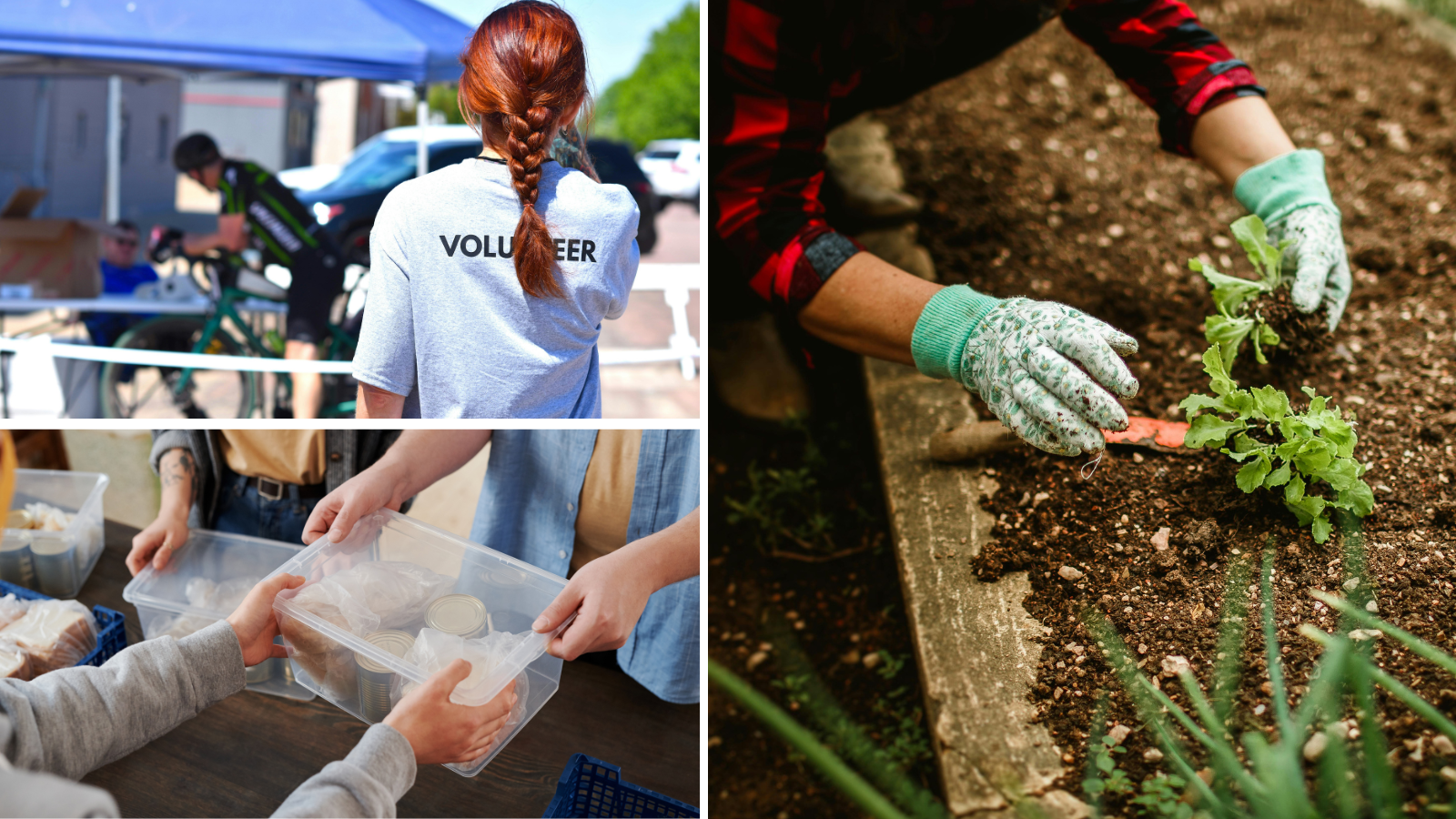 Volunteers-2