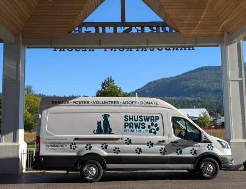 Major Capital Grant Announcement: Shuswap Paws